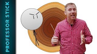 Creationists Undermine Tree Rings [upl. by Tdnaltroc]