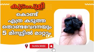 തൊണ്ട വേദന ഇനി ഒരു ശല്യം ആകില്ല  severe throat pain home remedies malayalam  thonda vedana maran [upl. by Dana624]