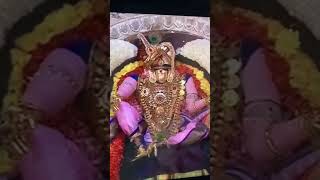 Chandraprabha vahanam tiruchanoor tirumala tirupati shorts ytshorts trendingshorts [upl. by Stormy]