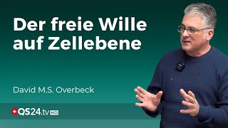 Den freien Willen stärken Die Symbiose von Zellen und Willenskraft  Erfahrungsmedizin  QS24 [upl. by Zeculon951]