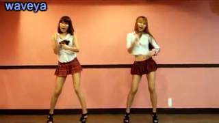 Waveya T ara roly poly k pop dance tutorial [upl. by Atteniuq]