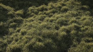 How To Make Grass In Blender under 1 minute Blender tutorial [upl. by Aiuhsoj]