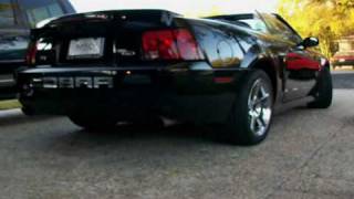 2004 Mustang Cobra Terminator WOT Supercharger Whine [upl. by Irisa349]