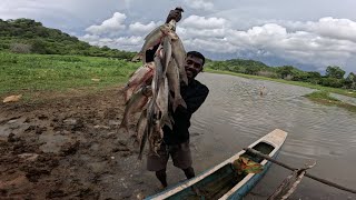 එලන දැල්වල රිදි කාෆයෝ 😮 🐟islandfishing පඩිකැපුහෙල වැව 🌱😍 [upl. by Nicolai578]