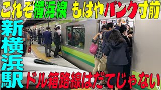 ★これぞ横浜線★駅はもはやパンク寸前 ドル箱路線はだてじゃない 【新横浜駅】神奈川県横浜市 [upl. by Nnylsor]