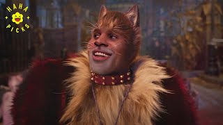 Jason Derulos A Curious Cat Rum Tum Tugger Song  Cats [upl. by Nediarb]