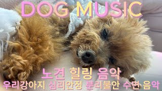 강아지가​좋아하는음악💗​🎵파도소리노견음악🐶🎵우리강아지혼자있을때듣는음악꿀잠불리불안심리적안정편안한수면음악힐링음악10시간자장가강아지음악 [upl. by Nyllek526]