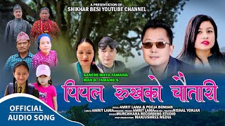 Pipal Rukhako Chautari  Amrit Lama amp Pooja Bomjan  New Tamang Selo Song 2024 [upl. by Noiram]