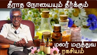 Flower Medicine  Naga lingam  தீராத நோயும் தீர்க்கும் மலர் மருத்துவ ரகசியம்  Medical Online India [upl. by Oakman]