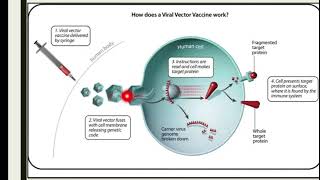 what is viral vector vaccine types of vaccinesMechanism of vaccinesimmunology [upl. by Ainahpets820]