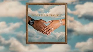 GIMS  Sois pas timide Official Lyrics Video [upl. by Vassily335]