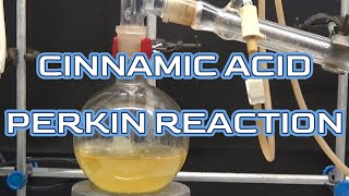 CINNAMIC ACID PERKIN REACTIONncchem [upl. by Woodie263]