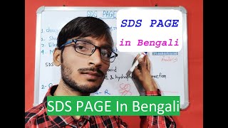 SDS PAGE In Bengali [upl. by Bogosian]