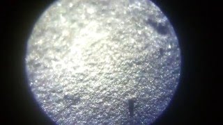 Cracked Magnet under the microscope 30x 60x 1100x [upl. by Oetsira]