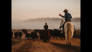 Moving Cattle on The 808 Ranch [upl. by Oknuj]