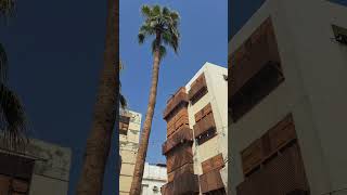 Jeddah Old Town Kandahar filming location jeddah saudiarabia travel blogger guide movie [upl. by Otilesoj]