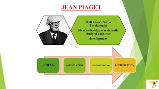 4 CONCEPTS OF PIAGETS  SCHEMAASSIMILATION ACCOMMODATION EQUILIBRATION childhood growing up [upl. by Culhert]