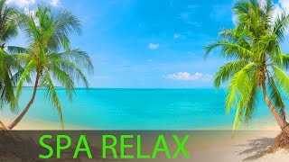 8 Hour Super Relaxing Spa Music Massage Music Background Music Relaxing Music ☯391 [upl. by Atirac646]