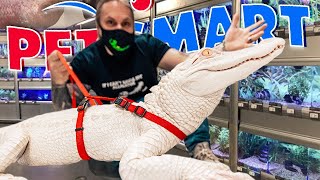 TAKING MY ALBINO ALLIGATOR TO PETSMART BEST OF 2021 BRIAN BARCZYK [upl. by Ecreip831]