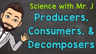 Producers Consumers and Decomposers  Ecosystems [upl. by Nisaj205]