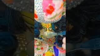 Dhadak Raha Sina Lalla ka Murti methi plant batao Kahan milega [upl. by Karilynn213]