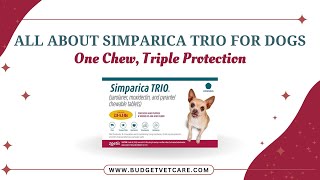 AllinOne Parasite Protection for Dogs Discover quotSimparica Trioquot 🐾 [upl. by Glarum]