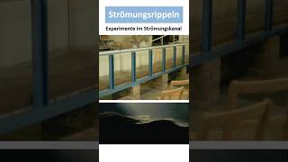 Strömungsrippeln Entstehung Bedeutung [upl. by Vange]