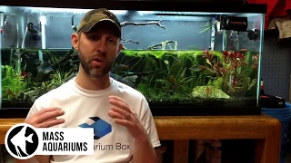 How to REMOVE NITRATES from your Aquarium 3 steps to Balance Nitrate levels in your Aquarium [upl. by Cas]