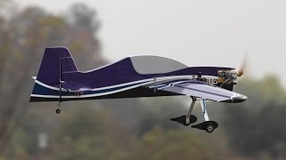 Sbach342 20cc Profile Flight Review [upl. by Alfonzo]