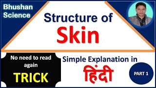 Structure of Skin Epidermis  Integumentary System Trick in Hindi  Bhushan Science [upl. by Miuqaoj]