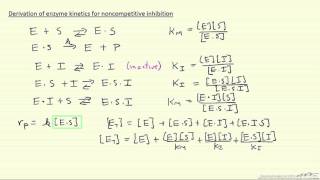 Derivation of Enzyme Kinetics for Noncompetitive Inhibition [upl. by Niwred941]