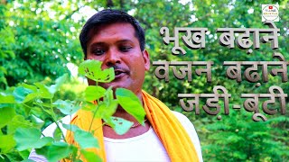 Ayurveda Jadi Buti  Deshi Nuksha How to gain weight [upl. by Eanod]