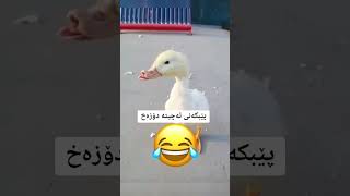 NeUu Edit 🙂 Xoshtrin Gorani Farsi Be logo bo store شتی کوەمیدیا fypforyou edit [upl. by Ardolino327]