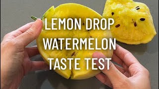 Lemon Drop Watermelon Taste Test [upl. by Tezile]