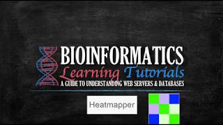 Expressions and Pairwise Comparison Heatmapper Tutorial [upl. by Sirak4]