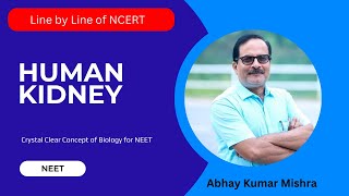 Human Kidney for NEET ncert NEET kidney abhaysir [upl. by Eronaele]