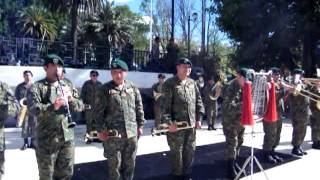 Penachos Rojos  Banda Instrumental del Regimiento N° 8 Tucapel de Temuco [upl. by Murdocca]