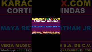 karaoke los hijos de barron  cortinas guindas karaokemex [upl. by Kennie]