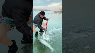 This Incredible Ice Fishing Technique Went Viral on the Internet shorts trending viralvideo [upl. by Enrev]