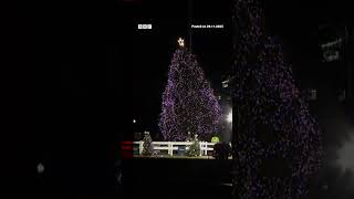 Moment White House Christmas tree blown over by high winds USPolitics BBCNews [upl. by Fleur]