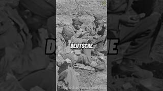 Was russische Soldaten mit hungrigen Deutschen machten history facts shorts bproductions [upl. by Notwen]