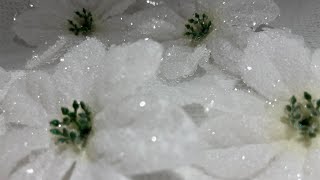 borax crystalized flowers [upl. by Eita]