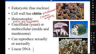 Chapter 1 Introduction to Microbiology [upl. by Oehsen709]