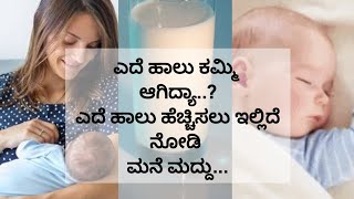 ಬಾಣಂತಿಯರು ಎದೆ ಹಾಲು ಹೆಚ್ಚಿಸಲು ಮನೆ ಮದ್ದು Foods that help increase milk supply how to increase BMILK [upl. by Olaf]