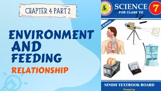 CHAPTER 4  PART 2 ENVIRONMENT AND FEEDING RELATIONSHIPS [upl. by Coveney297]