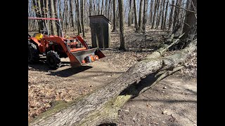 OldGuyDIY Tree Blown Down In Storm Misses Outhouse Good Luck Or Something More Well Never Know [upl. by Lolita369]