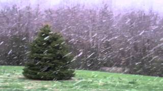 Giant snowflakes fall in the front yard on 27Mar11 [upl. by Criswell]