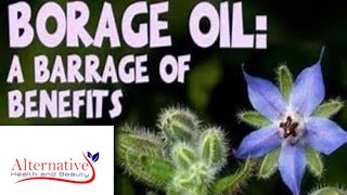 Gamma Linoleic Acid GLA in Borage Oil and Evening Primrose Oil Video [upl. by Tory]