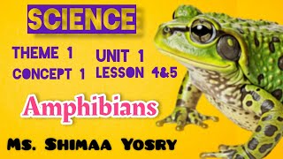 Amphibians  Science  Grade 4  Unit one  Concept one  lesson 4 amp 5  2025 [upl. by Dinse939]