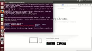 Installing Google Chrome in Ubuntu 1404 Desktop [upl. by Case]